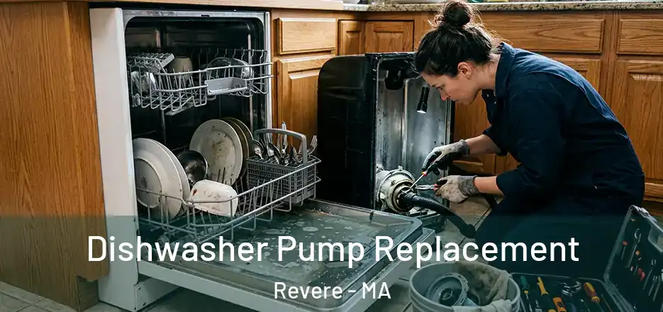Dishwasher Pump Replacement Revere - MA