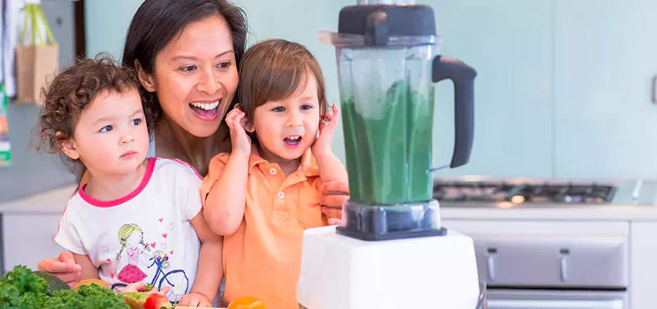 Juicer and Mixer Blender Repair in Revere 
