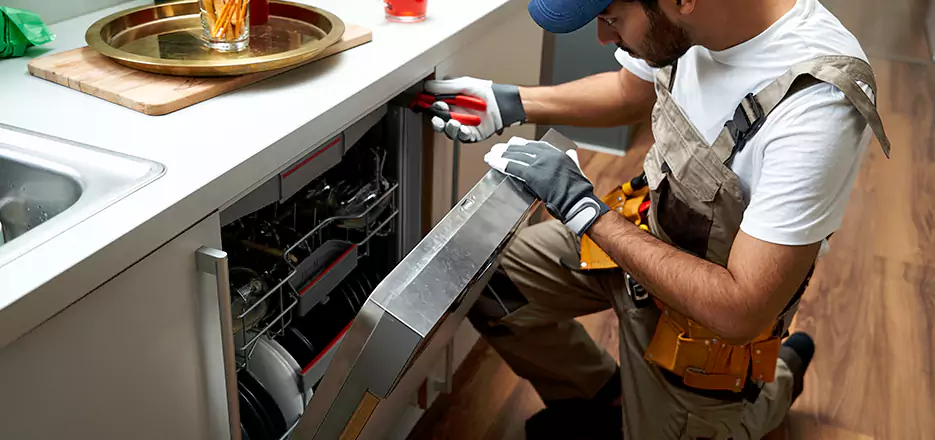 Same Day Dishwasher Not Draining Repair in Revere