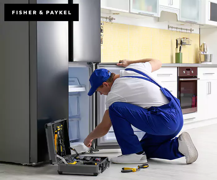 Top-Rated Fisher & Paykel Appliance Experts: Your Brand Specialist in Revere, MA